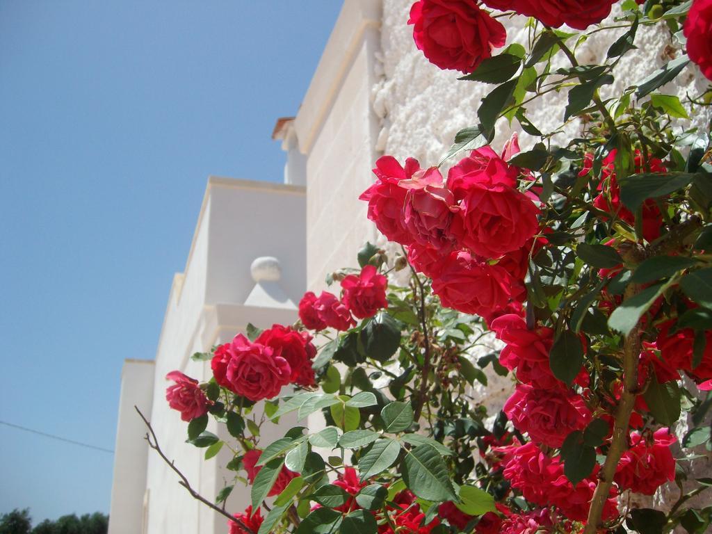 Masseria Nuova Pensionat San Marzano di San Giuseppe Exteriör bild