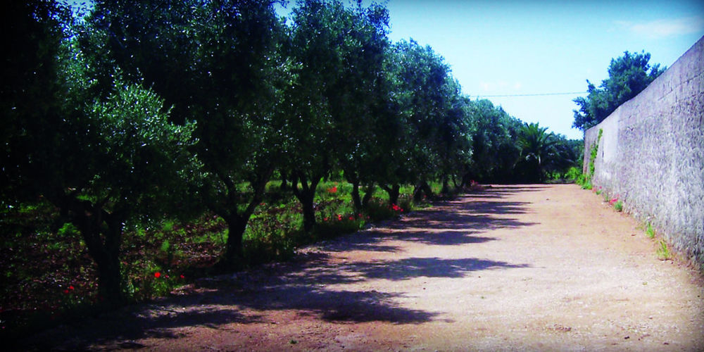 Masseria Nuova Francavilla Fontana Exteriör bild