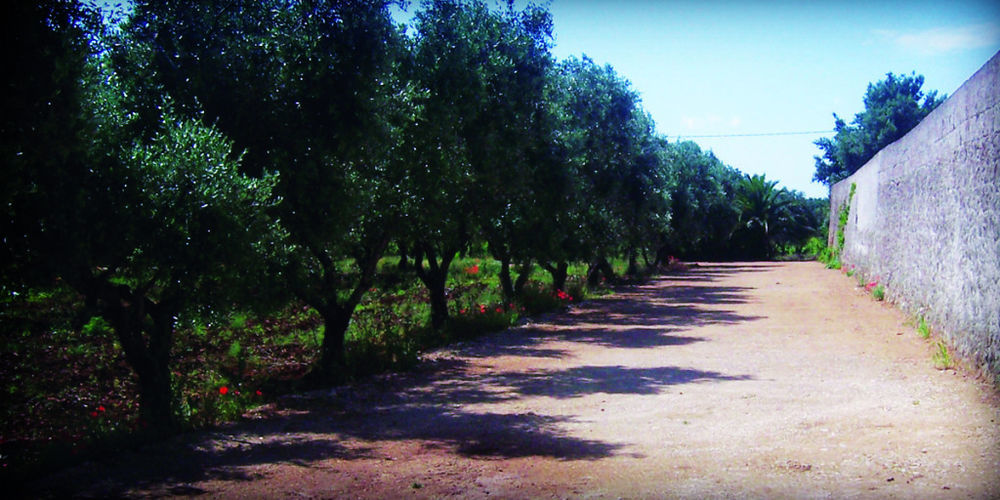 Masseria Nuova Pensionat San Marzano di San Giuseppe Exteriör bild